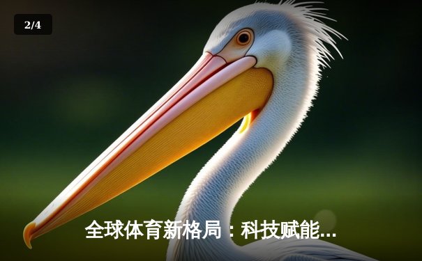 全球体育新格局：科技赋能与跨文化融合重塑竞技未来 - 2